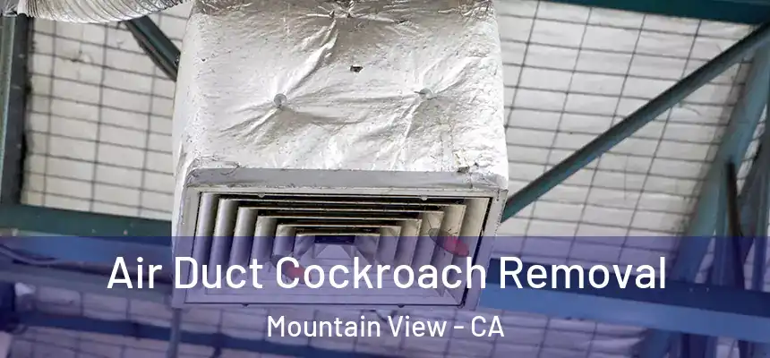 Air Duct Cockroach Removal Mountain View - CA