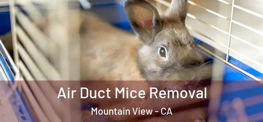Air Duct Mice Removal Mountain View - CA