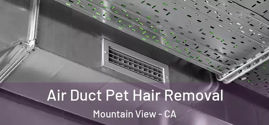 Air Duct Pet Hair Removal Mountain View - CA