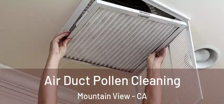 Air Duct Pollen Cleaning Mountain View - CA