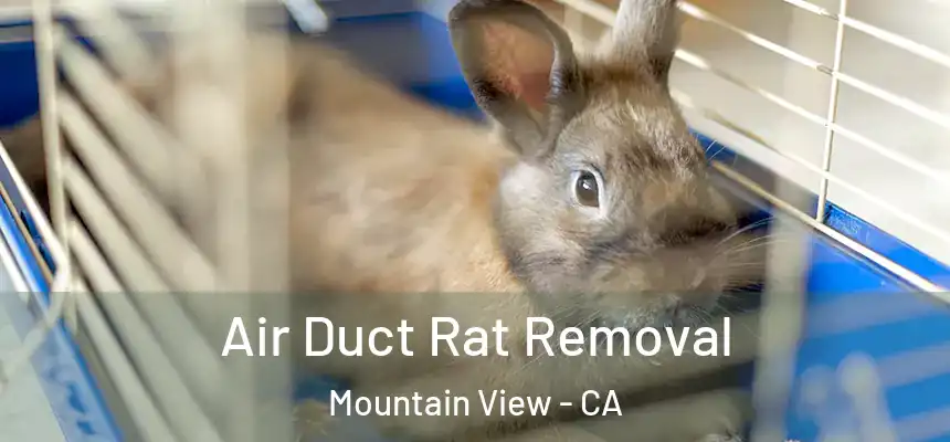 Air Duct Rat Removal Mountain View - CA