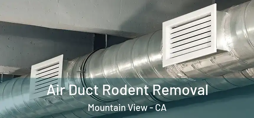 Air Duct Rodent Removal Mountain View - CA