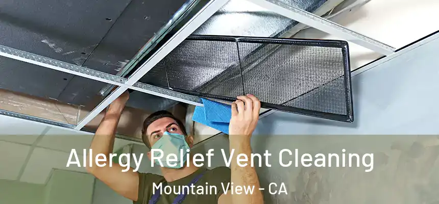Allergy Relief Vent Cleaning Mountain View - CA