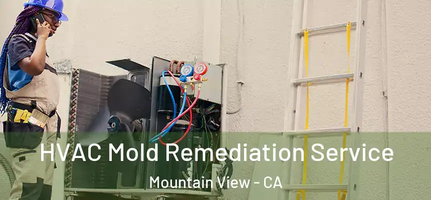 HVAC Mold Remediation Service Mountain View - CA