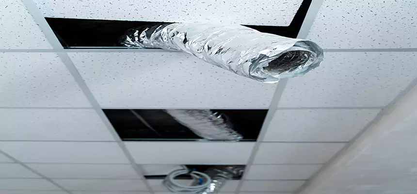 Affordable HVAC Sanitizing After Pest Removal in Mountain View