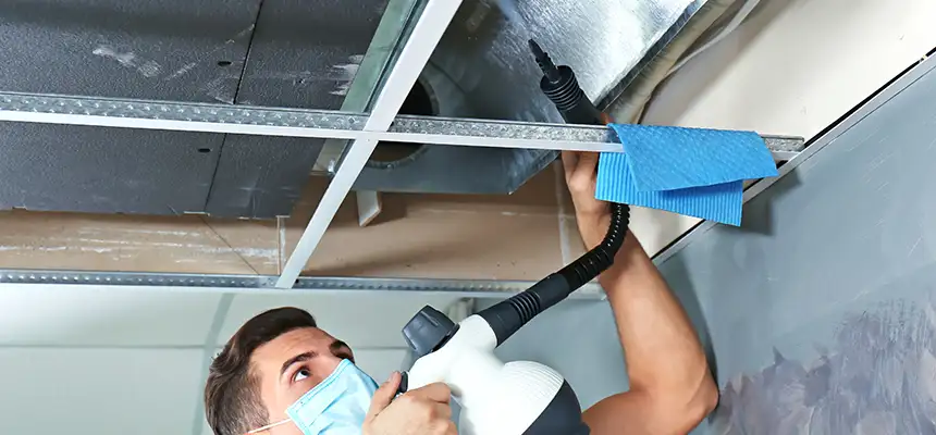Our Air Duct Rodent Removal Services in Mountain View, CA