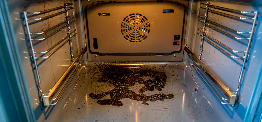 Our Dryer Vent Mold Cleaning Services in Mountain View, CA