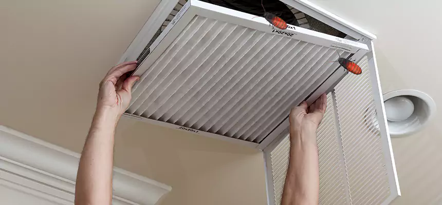 Our Insect Removal from Air Ducts Services in Mountain View, CA