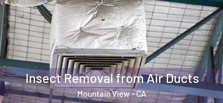 Insect Removal from Air Ducts Mountain View - CA