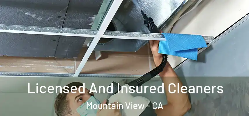 Licensed And Insured Cleaners Mountain View - CA