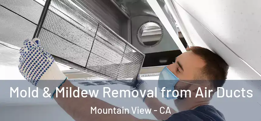 Mold & Mildew Removal from Air Ducts Mountain View - CA