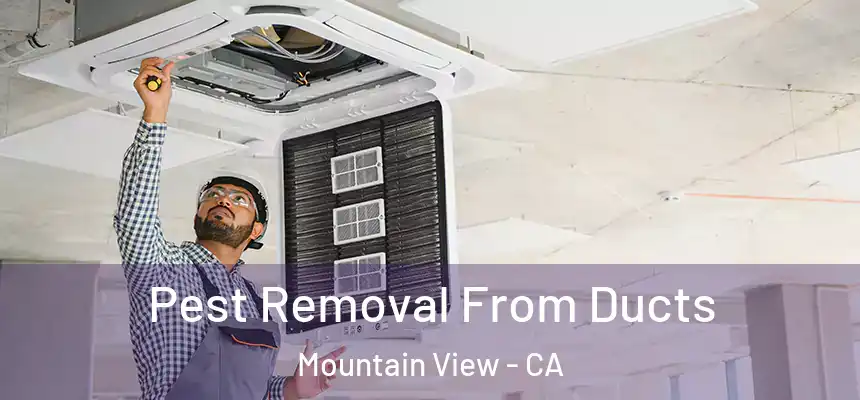 Pest Removal From Ducts Mountain View - CA