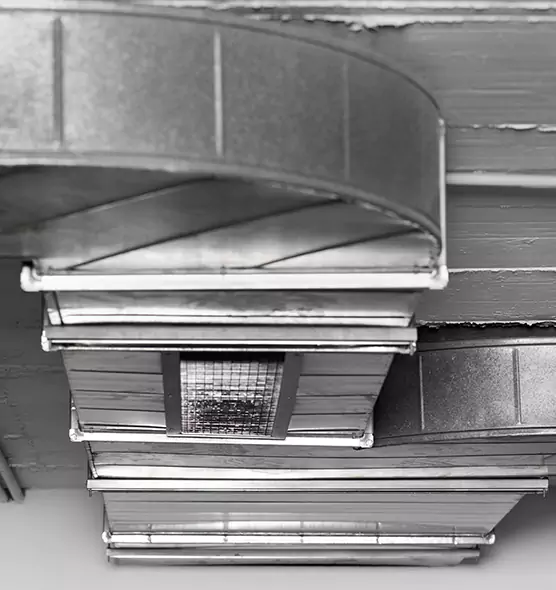 Professional Air Duct Pet Hair Removal in Mountain View, CA