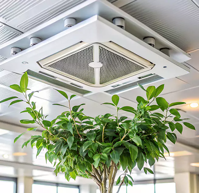 Why Homeowners & Businesses Trust Us in Mountain View, CA