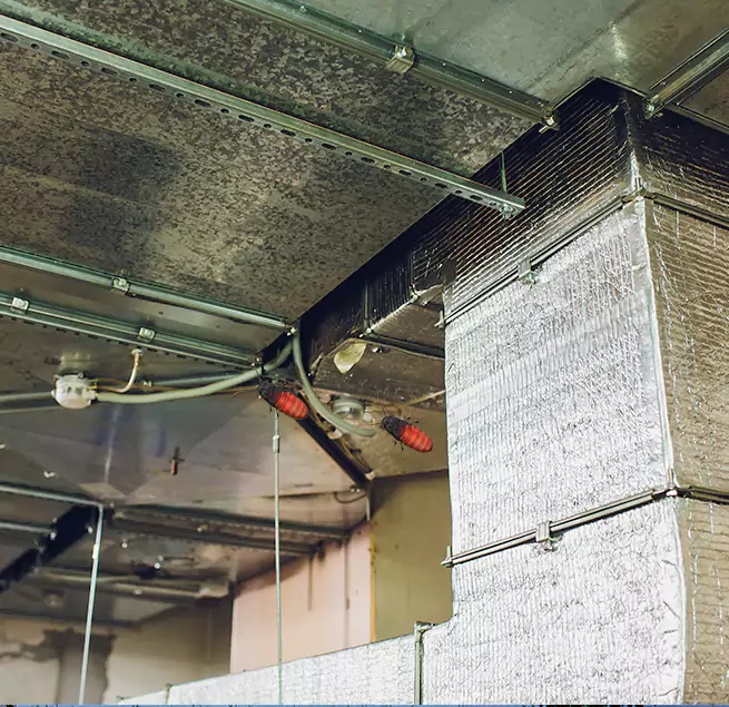 Why Homeowners & Businesses Trust Us Mountain View, CA?